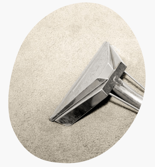 End Of Lease Carpet Cleaning Buderim