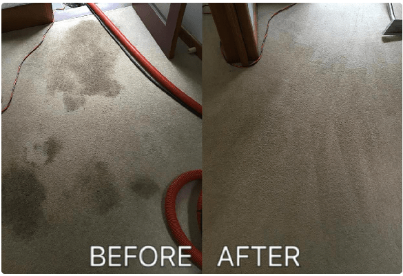 Carpet Cleaning Buderim
